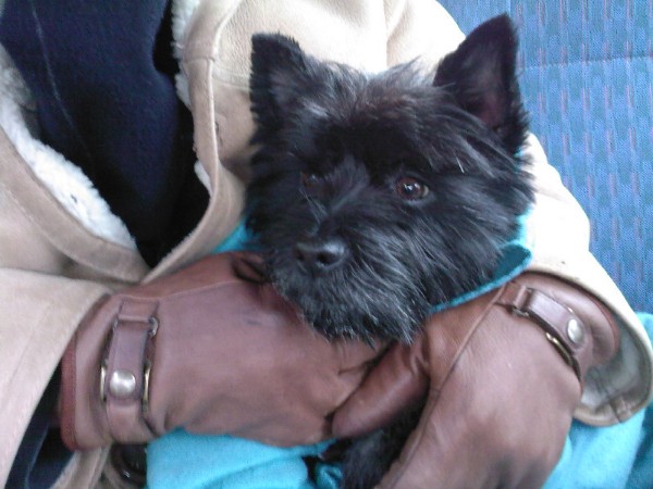 Bickel wordt in de auto geknuffeld