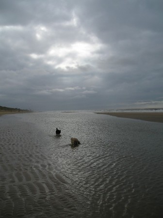 Bickel rent over het strand
