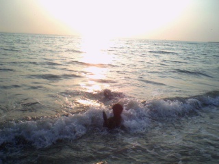 Bickel in de branding