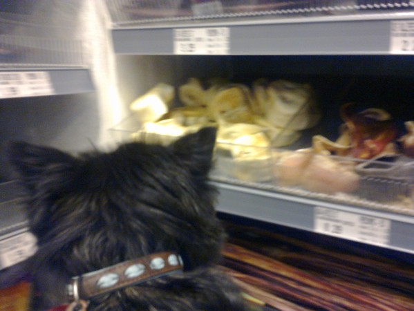 Bickel kijkt naar de speeltjes