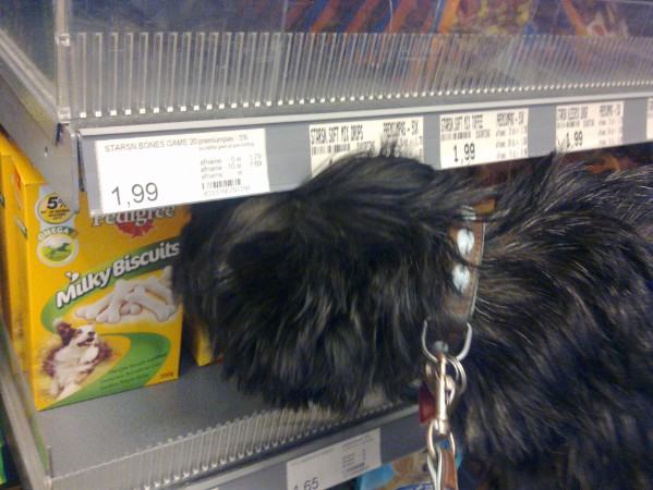 Bickel snuffelt aan een pak snoepjes