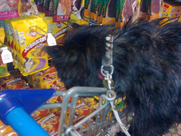 Bickel inspecteert de hondensnoepjes