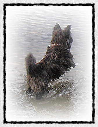 Een tekening van Bickel.