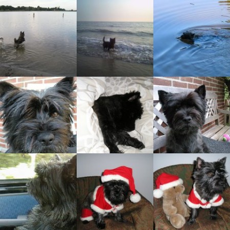 Een collage van Bickel.